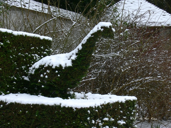 Bois des Moutiers Winterreise (12)